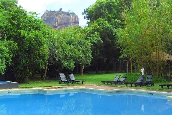 The swimming pool & lush gardens
