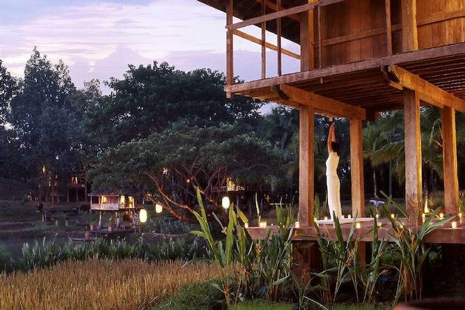 The yoga barn