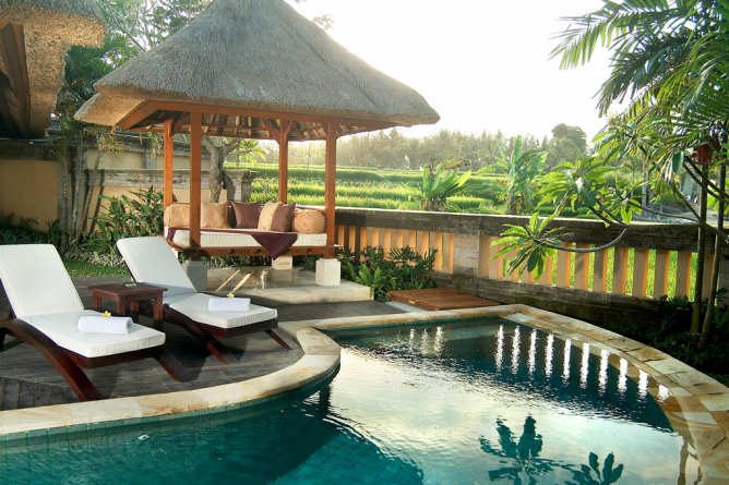 Rice Field Pool Villa pool