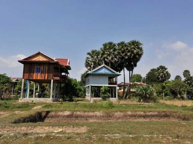 Paddy & Palm Lodge