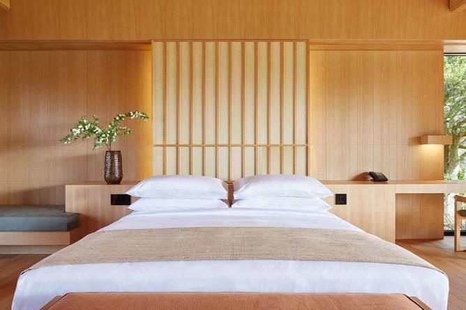 Amanemu