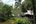 Chalets at Sepilok Nature Resort