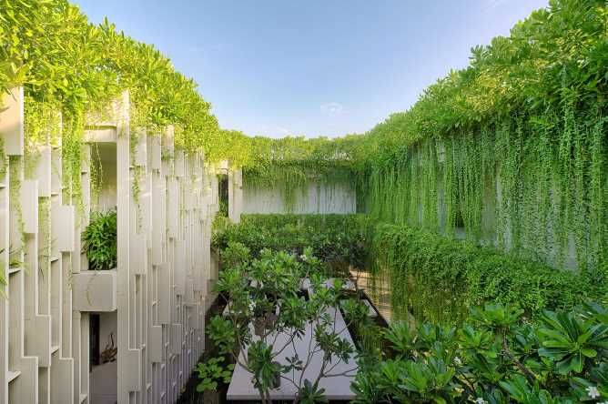 Naman's 'living wall' concept