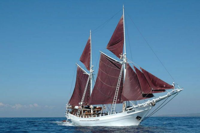 The Katharina