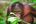 The nearby orang-utan sanctuary