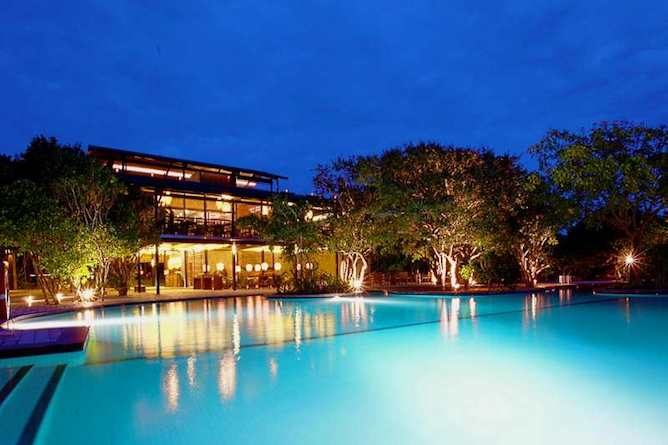 Cinnamon Wild Yala