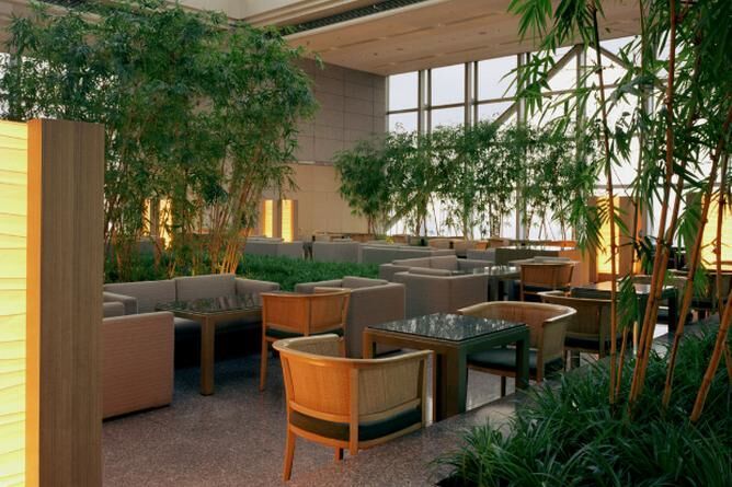 Peak Lounge