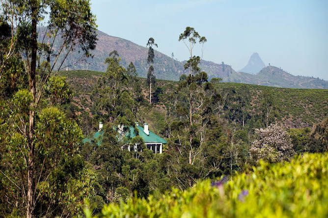 Tientsin AdamÂ’s Peak background