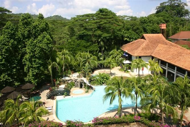 Gardens & swimming pool