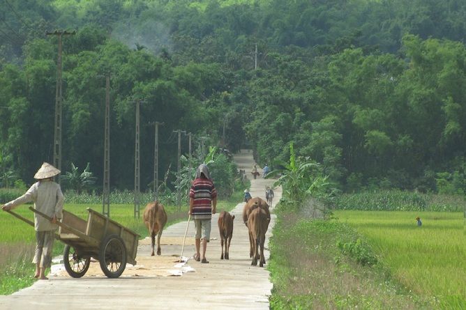 Village path leading to Sol Bungalows