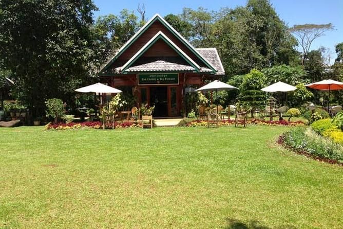The garden cafe
