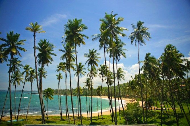 The delightful gardens & walk down to the beach