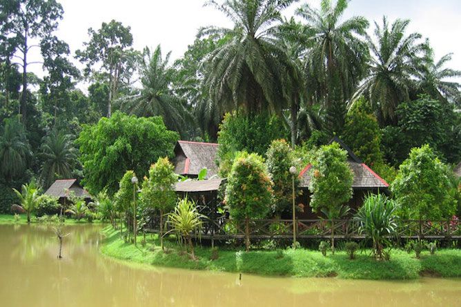 Sepilok Nature Resort