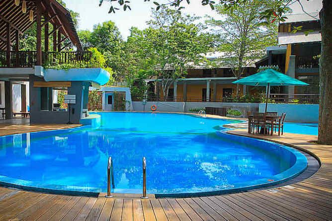 Freeform swimming pool