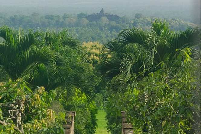 View of Borobudur from the hotel