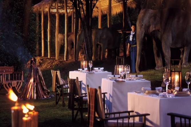 Elephant camp dinner
