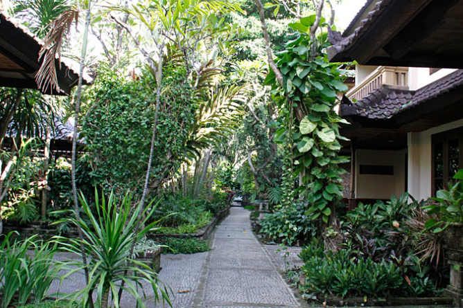 Garden outside Deluxe rooms