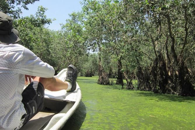 Sit up front as you slowly explore the intricate waterways