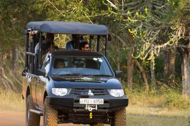 Out on safari