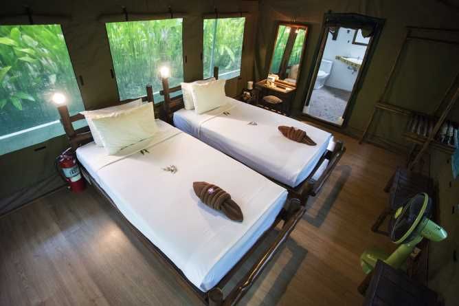 Twin bedded tent
