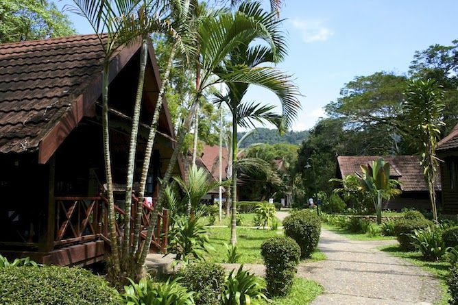 The lush gardens and common ways at the resort