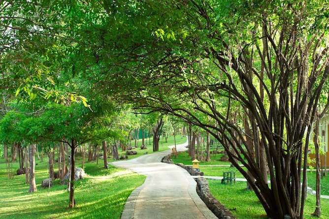 The gardens are extensive and extremely well kept