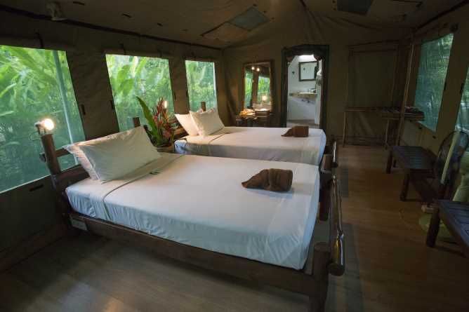Twin bedded tent