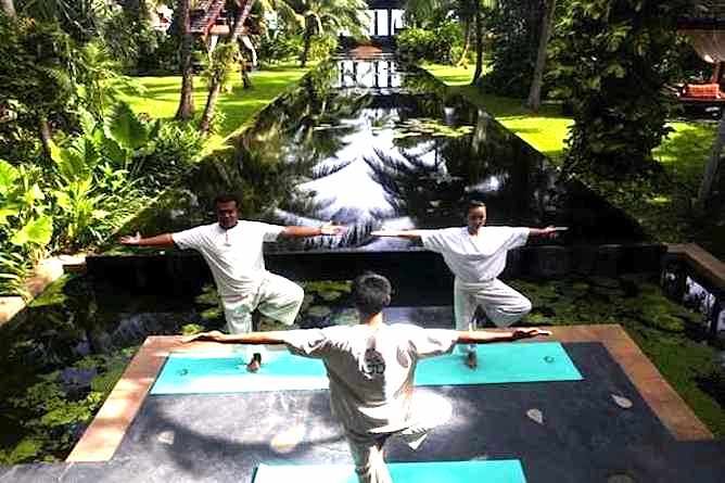 Yoga in the garden