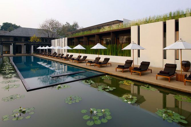 Swimming pool & sun loungers