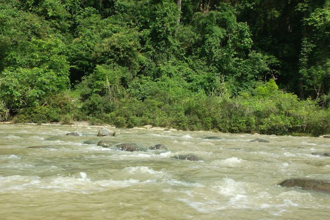 Rafting, swimming, fishing & boat tours are available