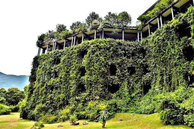 The building is festooned with rambling plants