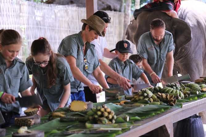 Preparing food for the elephants