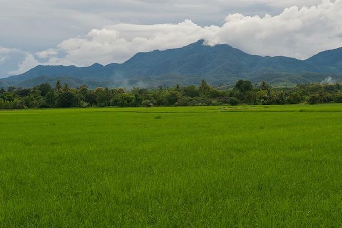 Khum Lanna. A country retreat