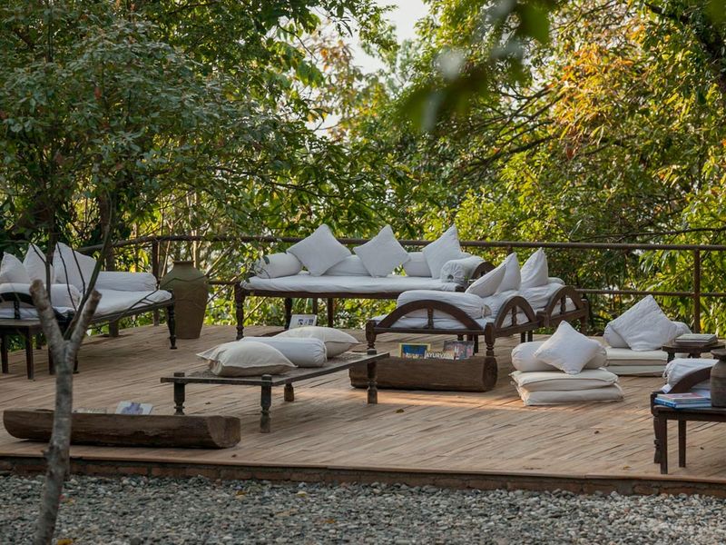 Sun loungers amongst the trees