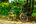 a bicycle parked on a dirt path