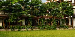 a building with trees around it