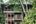 Suite at The Datai