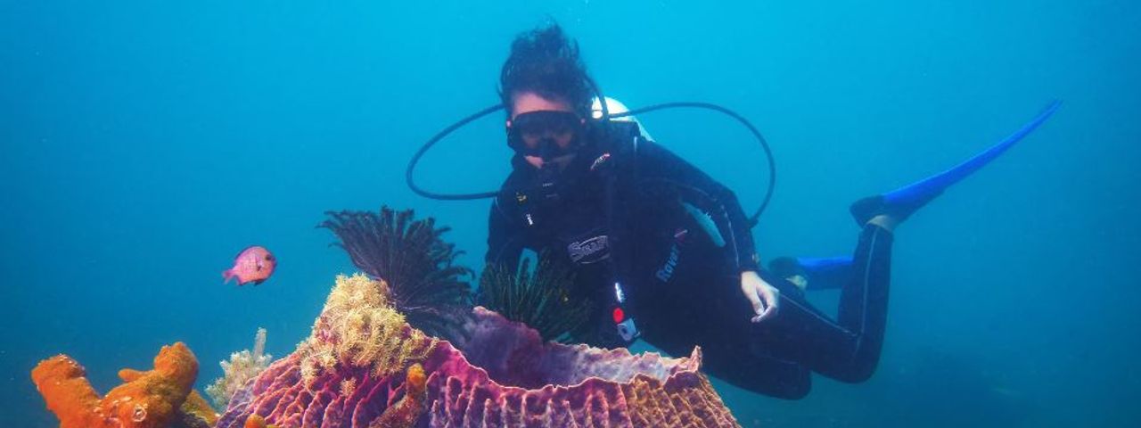 diving borneo