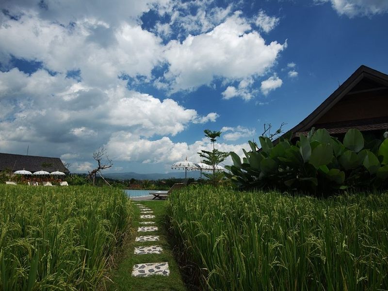 Green path to pool at Sanak Retreat Bali Indonesia