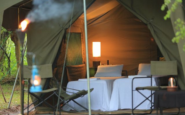 Big Game Safari Camp - Wilpattu