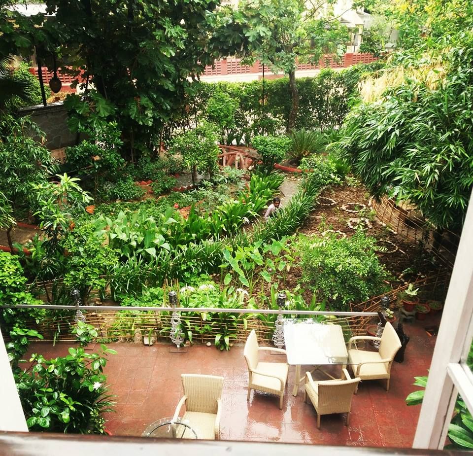 Views over the thriving garden