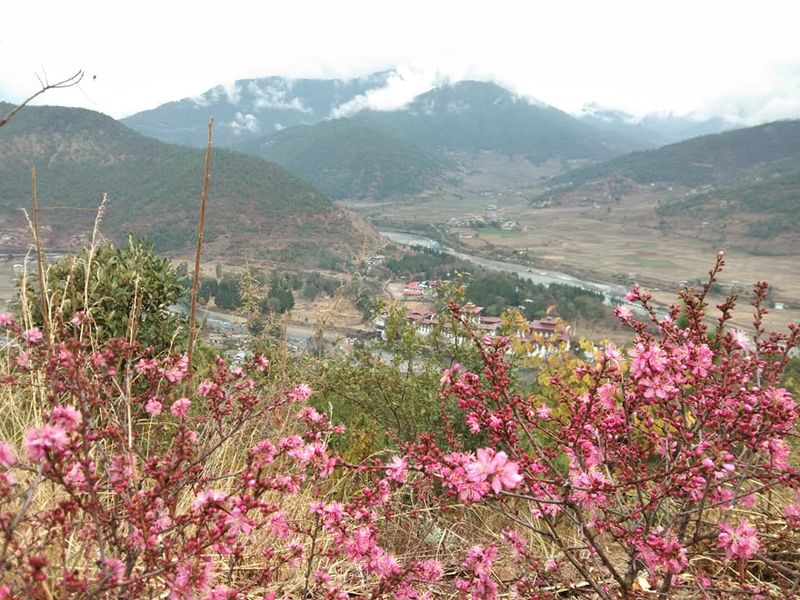 View of Punakha Dzong