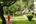 Woman walking through gardens