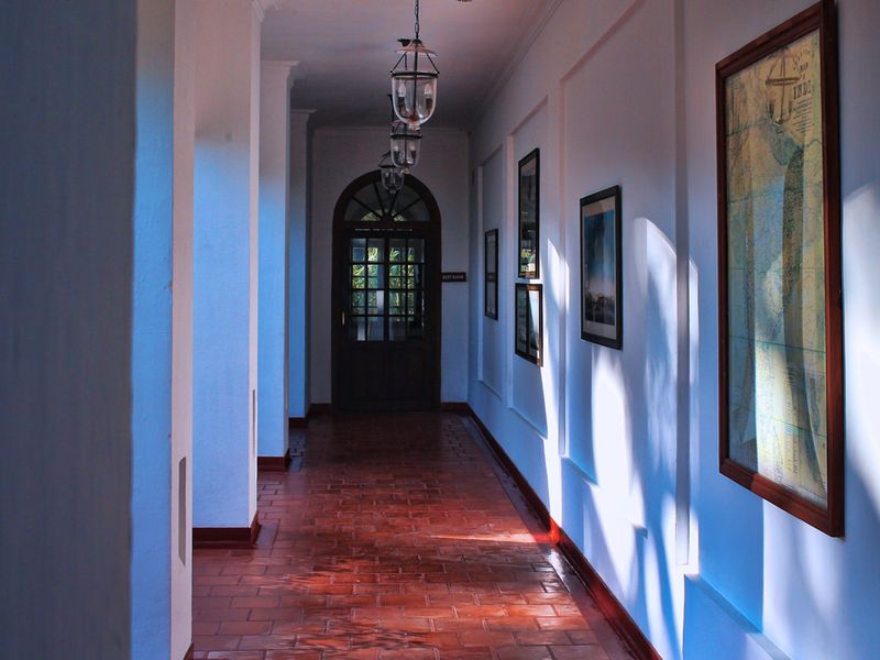 Art lining the walls