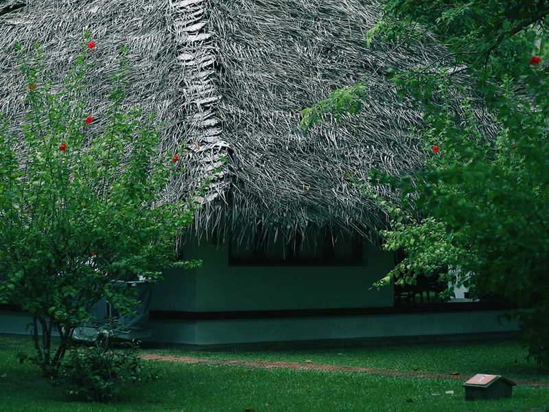 Garden at Marari Beach Resort