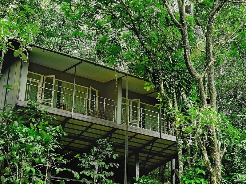Wayanad Wild, Kerala