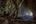 Deer cave Gunung Mulu Borneo