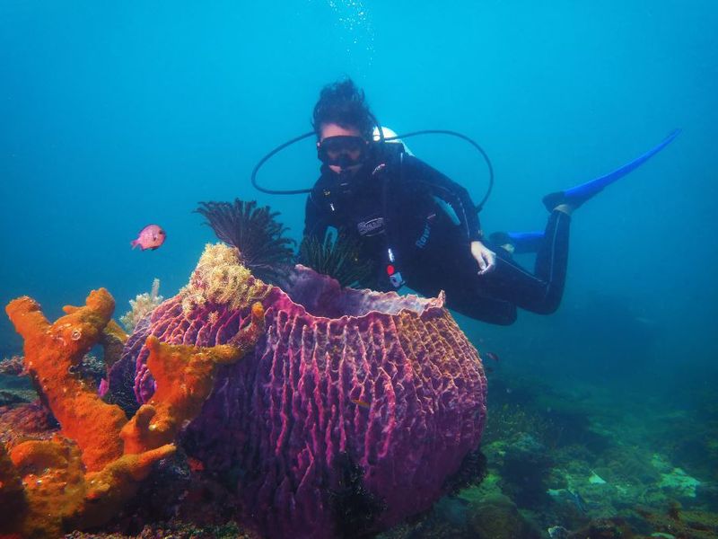 diving borneo