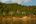 Villas on a view surrounded by jungle