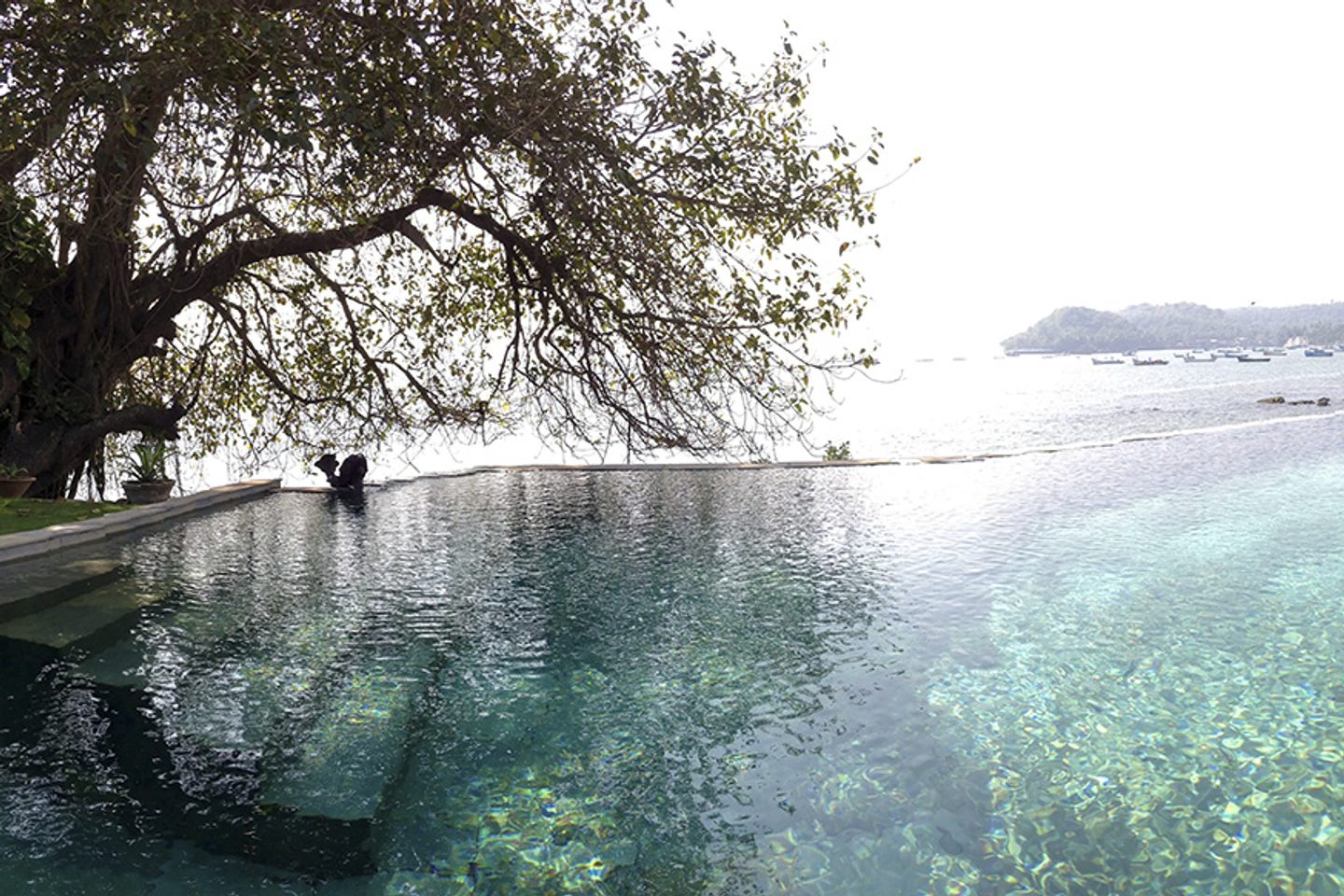 Garden at Ahilya by the Sea